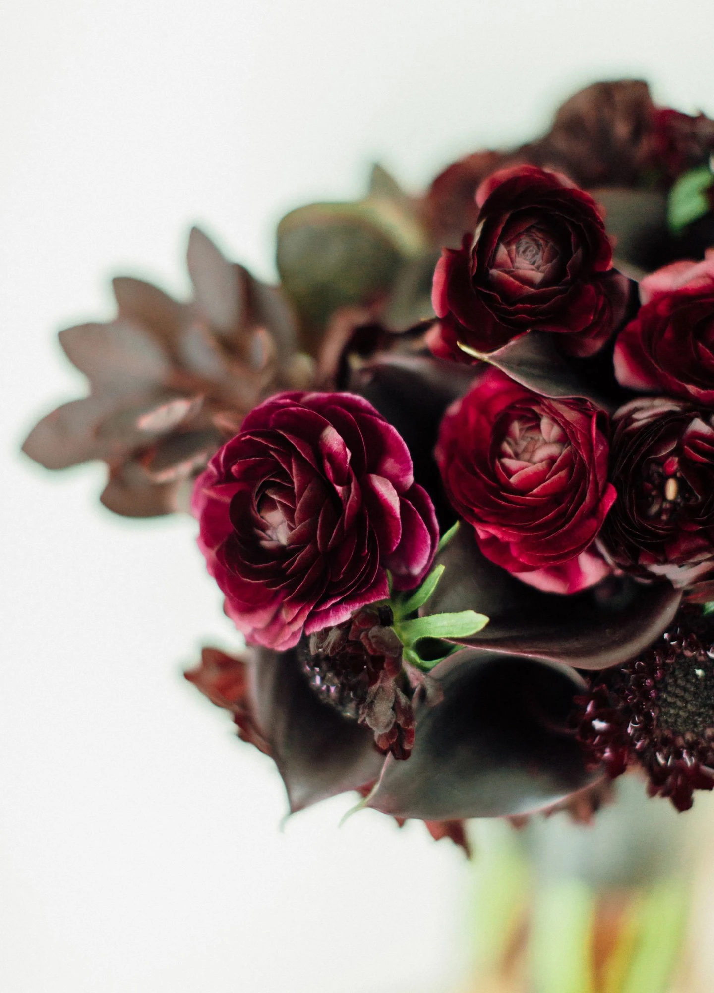 Real Wedding: Miami Celebration with Black + Oxblood Décor